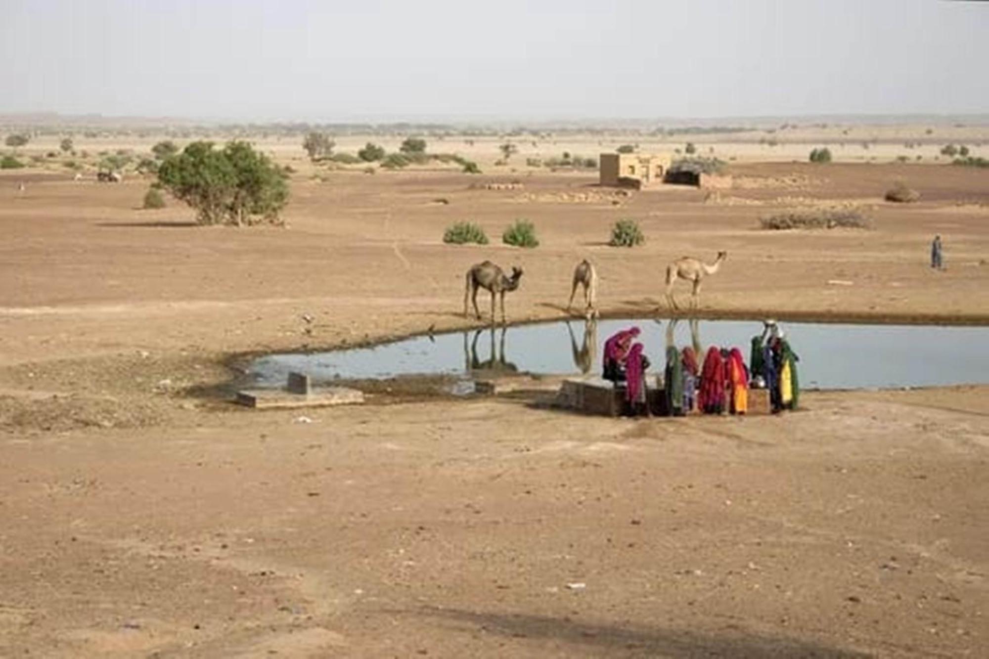 Griat Sandy Desert Camp Jaisalmer Exterior photo